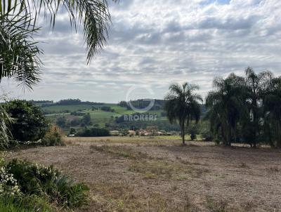 Chcara para Venda, em Londrina, bairro Gleba Fazenda Palhano