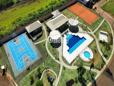 imagem-miniatura