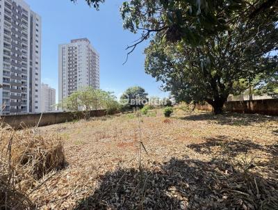 Terreno para Venda, em Londrina, bairro Aurora