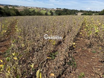 S�tio para Venda, em Londrina, bairro Lerroville