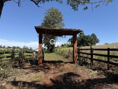 S�tio para Venda, em Londrina, bairro Lerroville